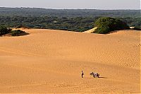 World & Travel: world photo news