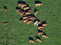 World from top, by Klaus Lerdorf