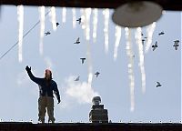 TopRq.com search results: America snowstorm, Untied States