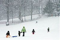 TopRq.com search results: America snowstorm, Untied States