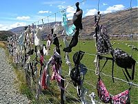 TopRq.com search results: Bra fence, idea by John Lee, 66-year-old farmer, New Zealand