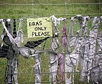 TopRq.com search results: Bra fence, idea by John Lee, 66-year-old farmer, New Zealand