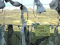 World & Travel: Bra fence, idea by John Lee, 66-year-old farmer, New Zealand