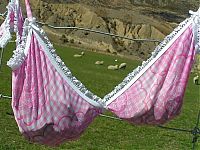 TopRq.com search results: Bra fence, idea by John Lee, 66-year-old farmer, New Zealand