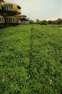 TopRq.com search results: Abandoned city San Zhi, Taiwan