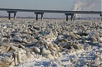 TopRq.com search results: Mississippi frozen river, United States