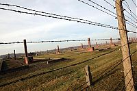 TopRq.com search results: Auschwitz, Poland