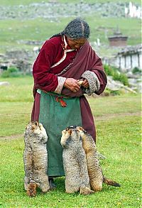 World & Travel: Tibet