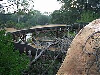 TopRq.com search results: The abandoned water park in Walt Disney World, United States