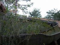 TopRq.com search results: The abandoned water park in Walt Disney World, United States