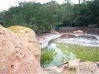 World & Travel: The abandoned water park in Walt Disney World, United States