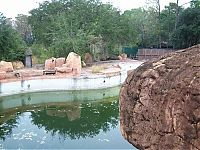 World & Travel: The abandoned water park in Walt Disney World, United States