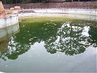 World & Travel: The abandoned water park in Walt Disney World, United States