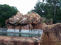 World & Travel: The abandoned water park in Walt Disney World, United States