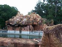 TopRq.com search results: The abandoned water park in Walt Disney World, United States