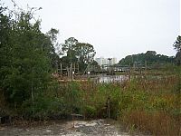 TopRq.com search results: The abandoned water park in Walt Disney World, United States