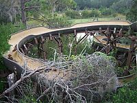 TopRq.com search results: The abandoned water park in Walt Disney World, United States