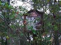 TopRq.com search results: The abandoned water park in Walt Disney World, United States