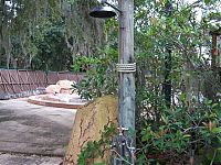 World & Travel: The abandoned water park in Walt Disney World, United States