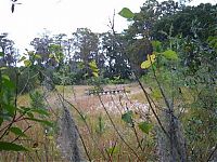 TopRq.com search results: The abandoned water park in Walt Disney World, United States