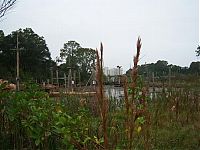 World & Travel: The abandoned water park in Walt Disney World, United States