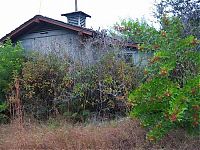 TopRq.com search results: The abandoned water park in Walt Disney World, United States