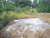 TopRq.com search results: The abandoned water park in Walt Disney World, United States