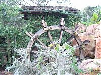 World & Travel: The abandoned water park in Walt Disney World, United States