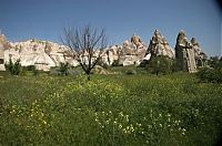 World & Travel: High phallic geology, Valley of Love (Valley Phallus), small town of Göreme, Cappadocia, Turkey