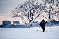 Snowpocalypse, United States