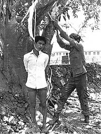 World & Travel: History: Vietnam war in photographs