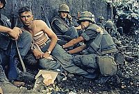 World & Travel: History: Vietnam war in photographs