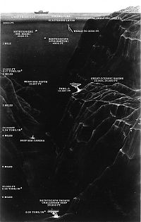 TopRq.com search results: Mariana Trench, deep ocean basin