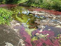 World & Travel: Kamchatka rainbow river