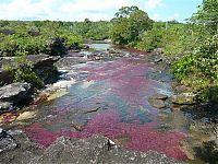 World & Travel: Kamchatka rainbow river