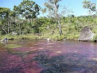 World & Travel: Kamchatka rainbow river