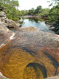 TopRq.com search results: Kamchatka rainbow river