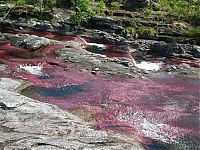 World & Travel: Kamchatka rainbow river