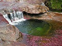 World & Travel: Kamchatka rainbow river