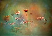 World & Travel: beauty of nature