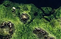 World & Travel: beauty of nature