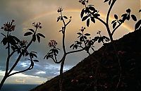 World & Travel: beauty of nature