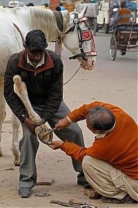 World & Travel: world photo news