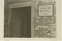 World & Travel: History: After the battle of Stalingrad