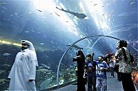 TopRq.com search results: Aquarium springs a leak in Dubai Mall, United Arab Emirates