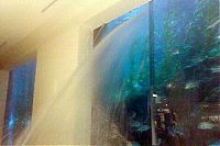 World & Travel: Aquarium springs a leak in Dubai Mall, United Arab Emirates