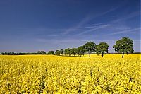 World & Travel: beauty of nature