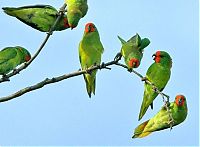 World & Travel: beauty of nature