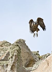 World & Travel: beauty of nature