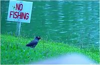 World & Travel: beauty of nature